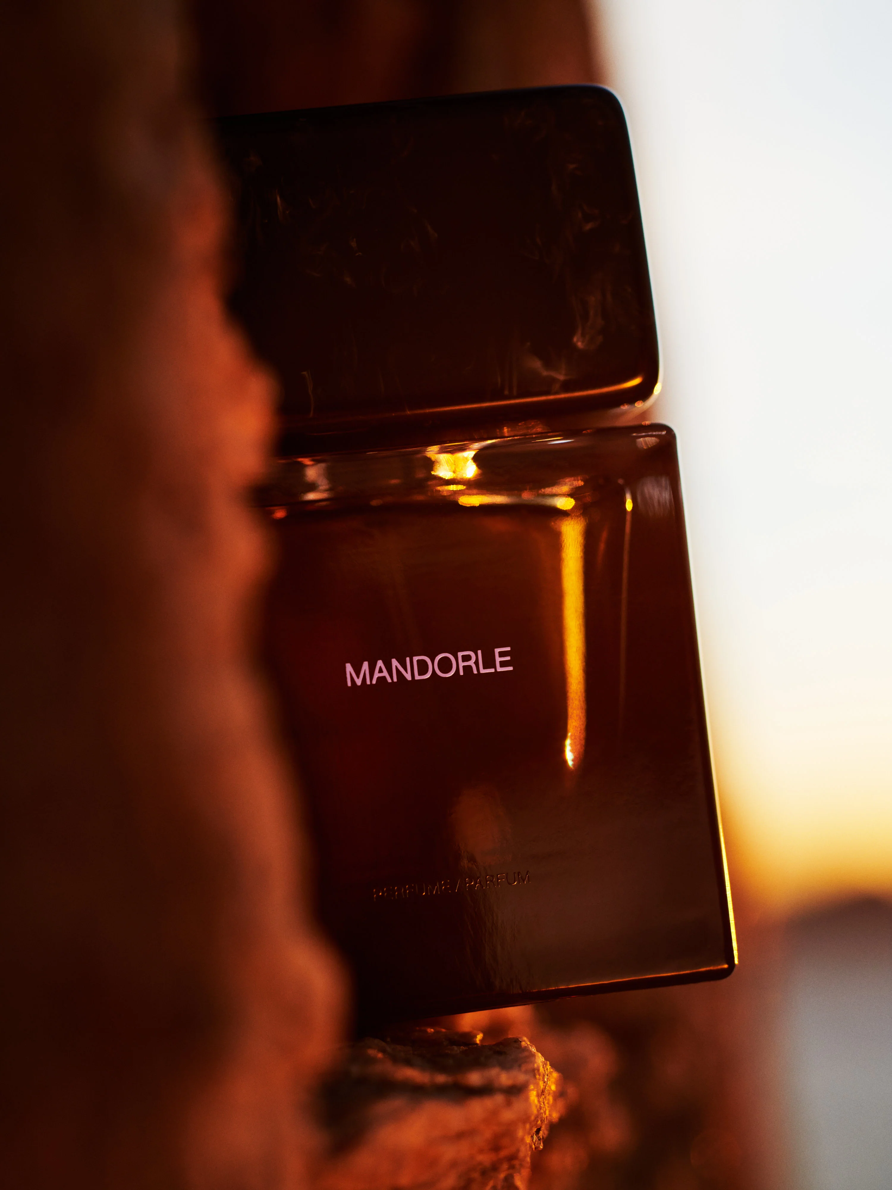 MANDORLE - SORADORA - Image 7